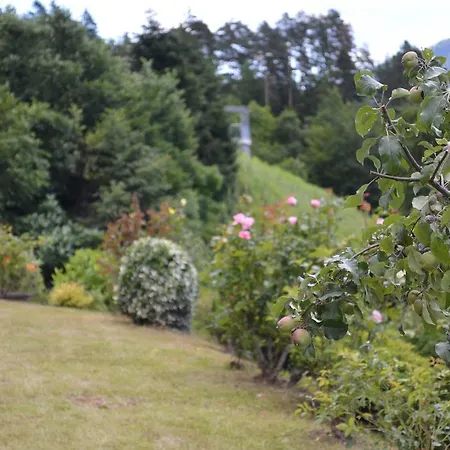 Jaeger אננהיים