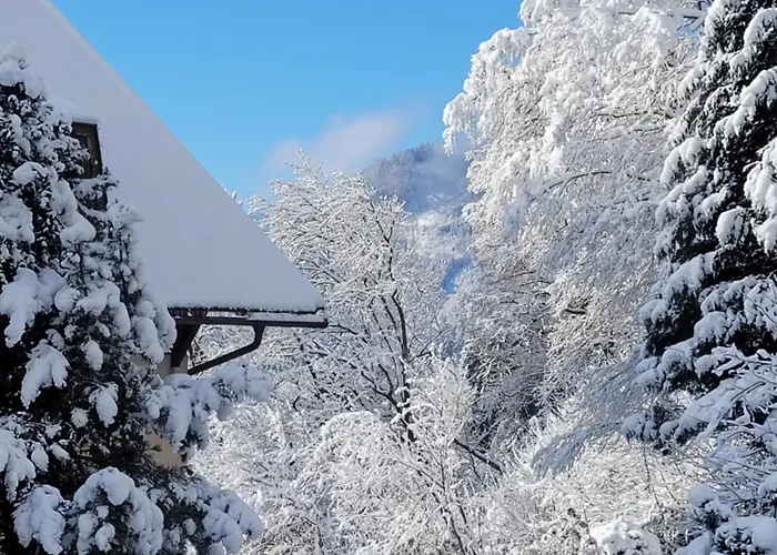 Guest house Jaeger Annenheim